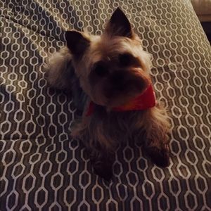 Meet your Posher, Maureen